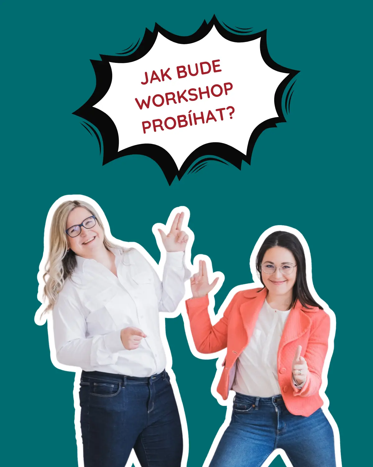 Jak bude workshop probihat